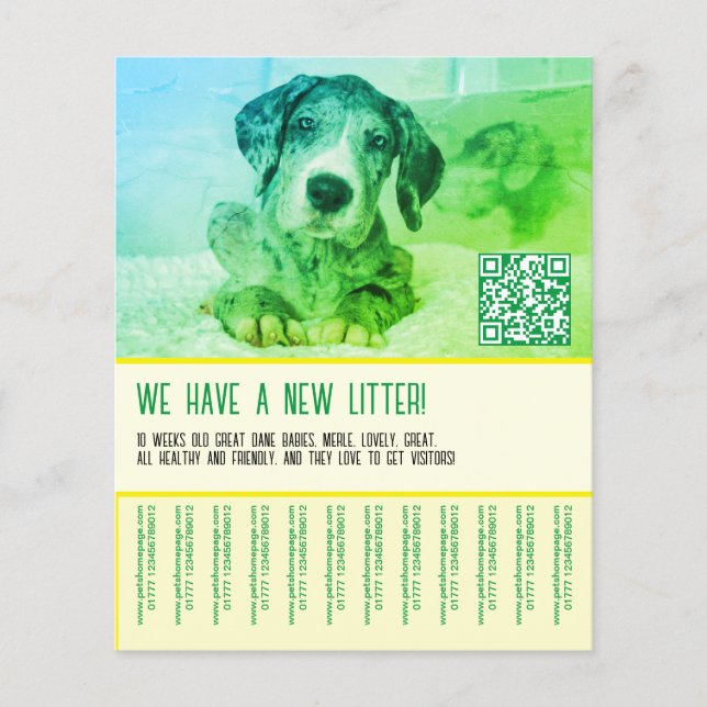 Flyer Plantilla de cachorro para vender (Frente)