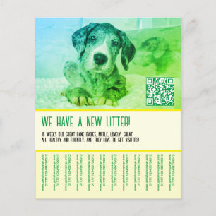 Flyer Plantilla de cachorro para vender