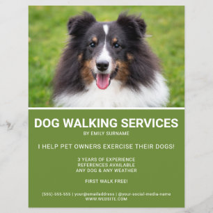 Flyer Plantilla de Caminata de Perro Verde de la Foto de