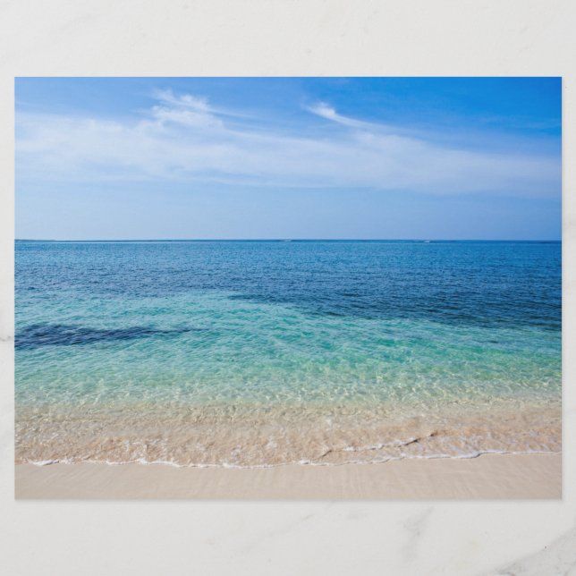 Flyer Playa de Jamaica (Frente)