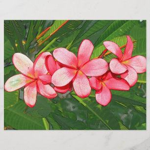 Flyer plumeria