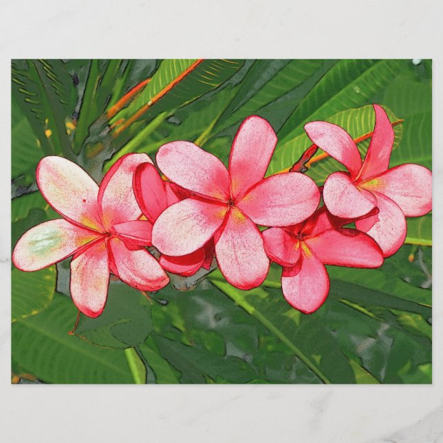 Flyer plumeria (Frente)