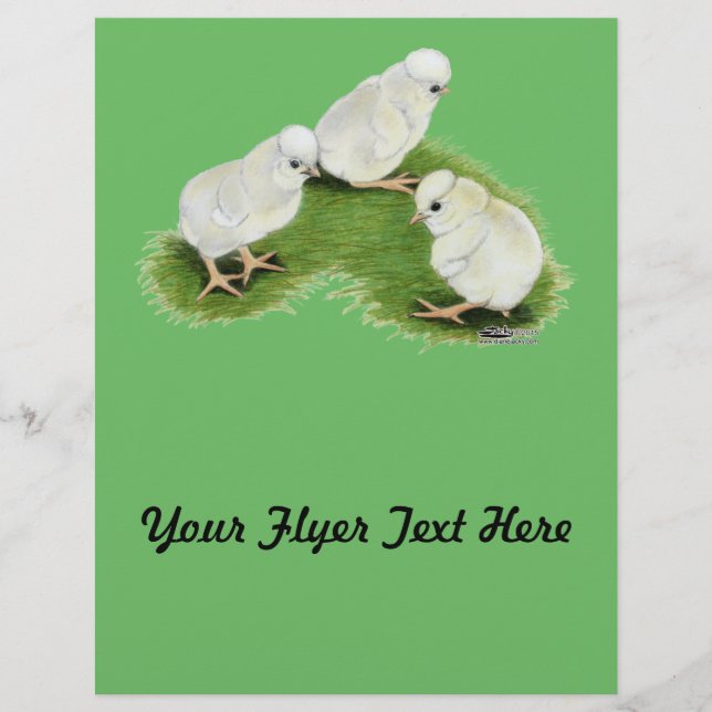 Flyer Polacos con salpicaduras polacas (Frente)