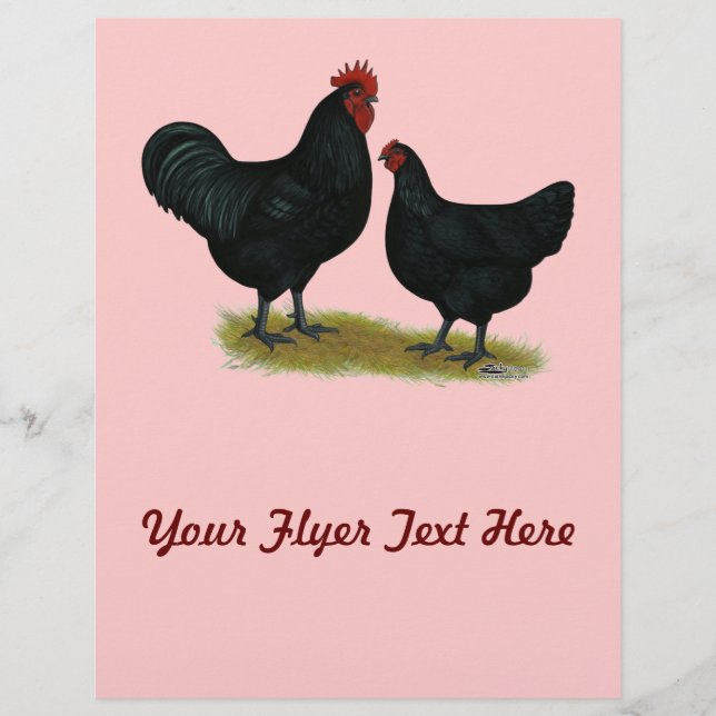 Flyer Pollos de Jersey Giant (Frente)