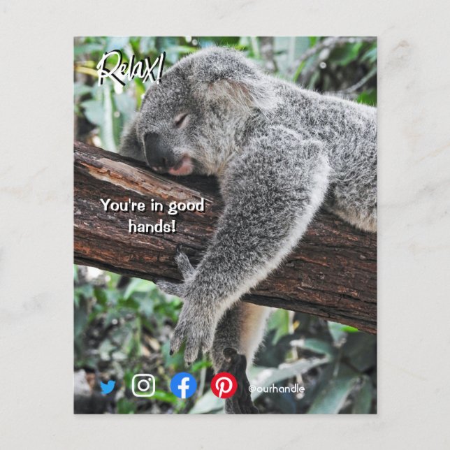 Flyer postal inmobiliaria divertida relajada koala (Frente)