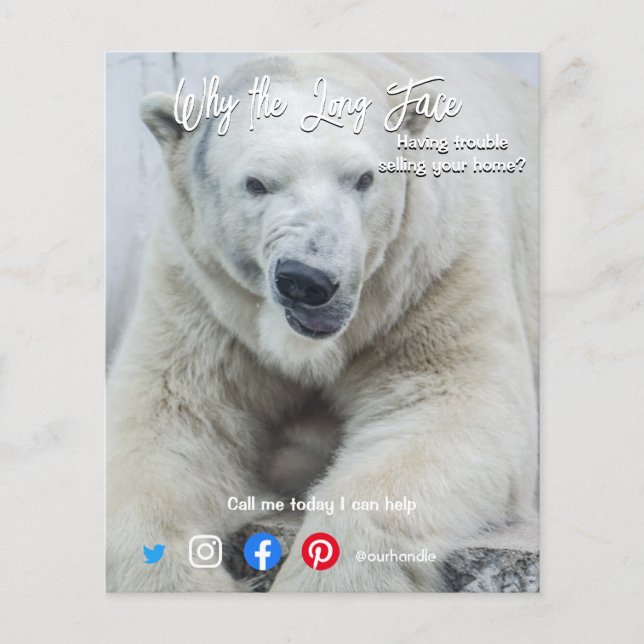 Flyer postal inmobiliaria larga cara de oso blanco (Frente)
