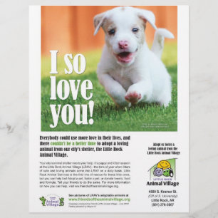 Flyer Poster de Adopción - Villa de Animales de Little R
