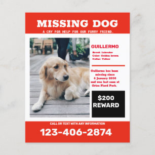 Flyer Póster de anuncio de foto de perro perdido