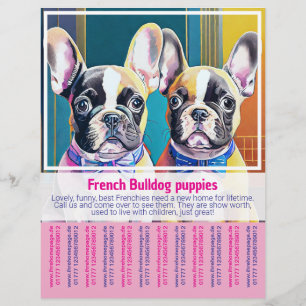 Flyer Póster de Cachorro de Bulldog Francés