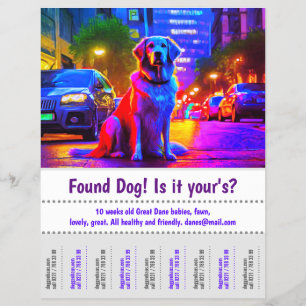 Flyer Póster de Diseño Gráfico de Perro Encontrado