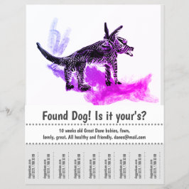 Flyer Póster de Diseño Gráfico de Perro Encontrado