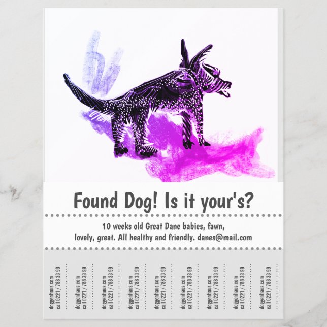 Flyer Póster de Diseño Gráfico de Perro Encontrado (Frente)