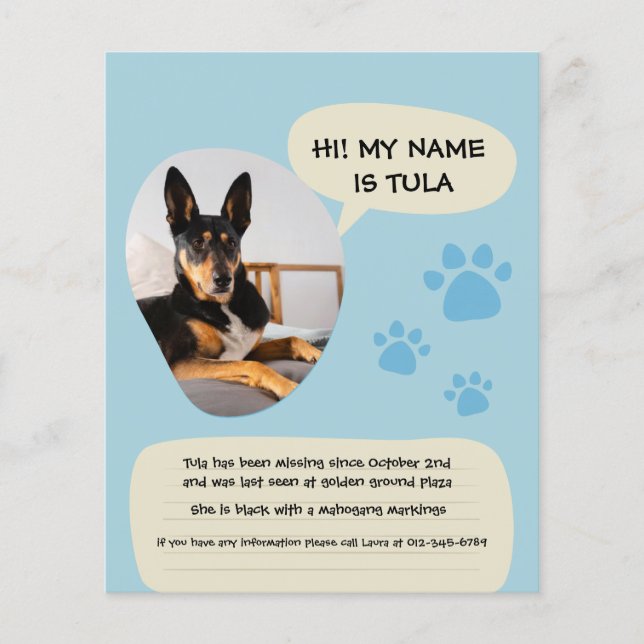 Flyer Póster de foto moderno de perro perdido azul (Frente)