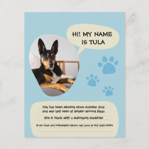 Flyer Póster de foto moderno de perro perdido azul
