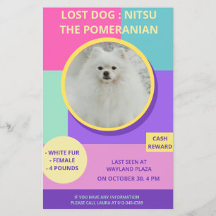 Flyer Póster de foto moderno y colorido de perro perdido