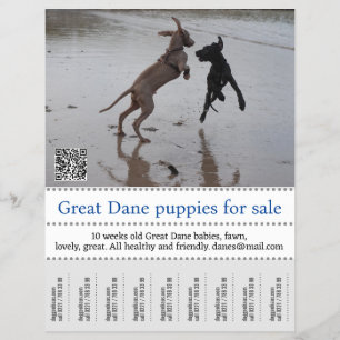 Flyer Poster del vendedor