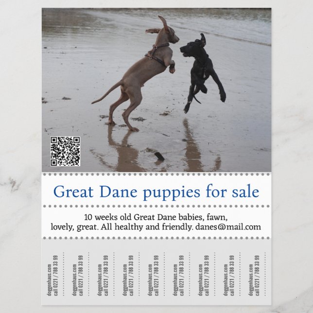 Flyer Poster del vendedor (Frente)