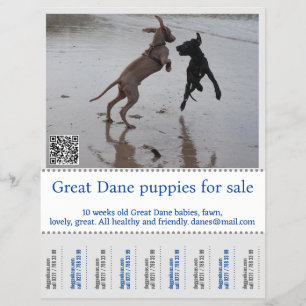 Flyer Poster del vendedor