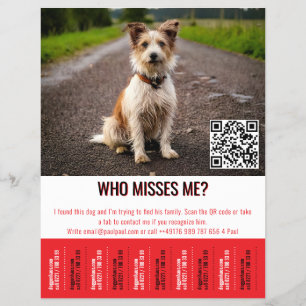 Flyer Póster Editable de Perro Encontrado con Código QR 