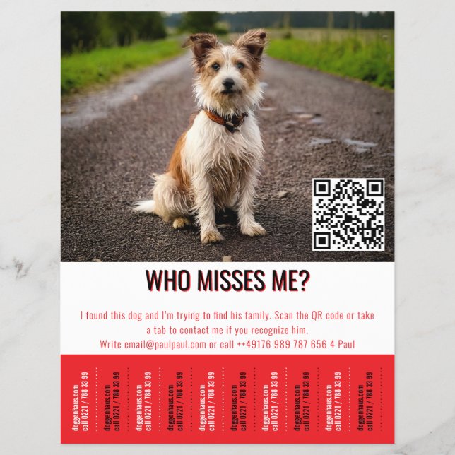Flyer Póster Editable de Perro Encontrado con Código QR  (Frente)
