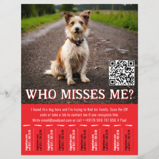 Flyer Póster Editable de Perro Encontrado con Código QR 