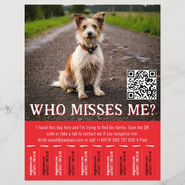 Flyer Póster Editable de Perro Encontrado con Código QR  (Frente)