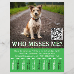Flyer Póster Editable de Perro Encontrado con Código QR