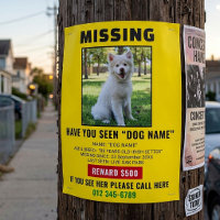 Póster Urgente de Perro Perdido – Plantilla