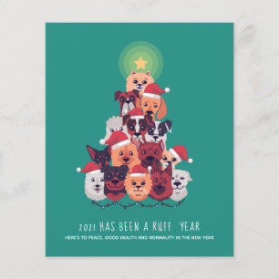 Flyer PRESUPUESTO 2021 Ha sido un Navidad de PERRO de RU