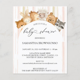 Flyer Presupuesto de Baby Shower de Watercolor Cute Fore