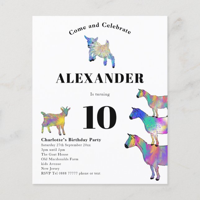 Flyer Presupuesto de fiesta de cumpleaños con tema de ca (Frente)