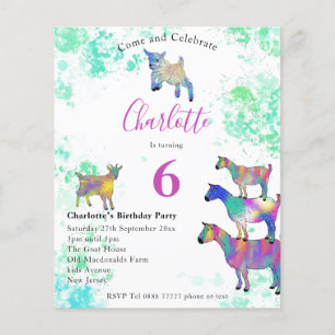 Flyer Presupuesto de la fiesta de cumpleaños número 6 de