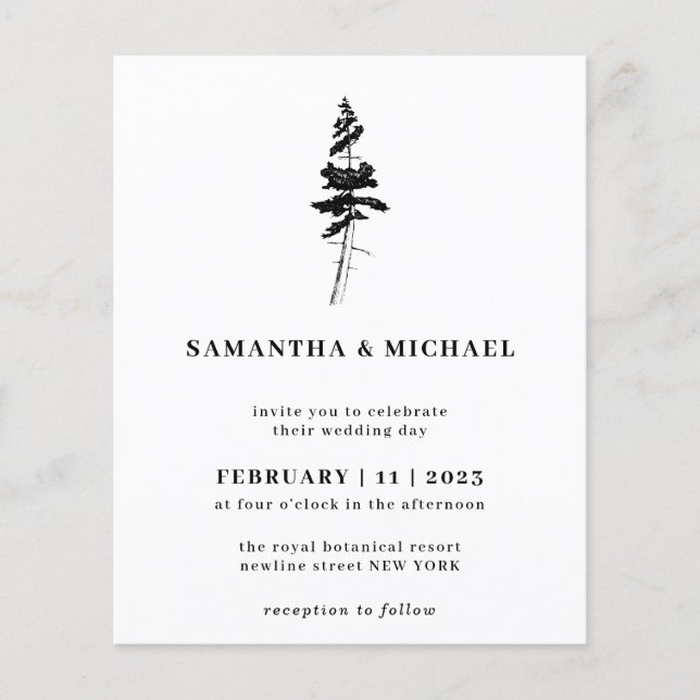 Flyer Presupuesto de la industria de la pina forestal (Frente)