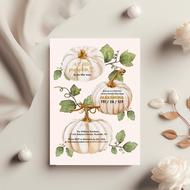 Flyer Presupuesto Pequeña caída de calabaza acuática duc (Subido por el creador)