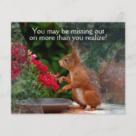 Flyer PROMO DE Personalizable DE LIMPIEZA DE VENTANAS PA