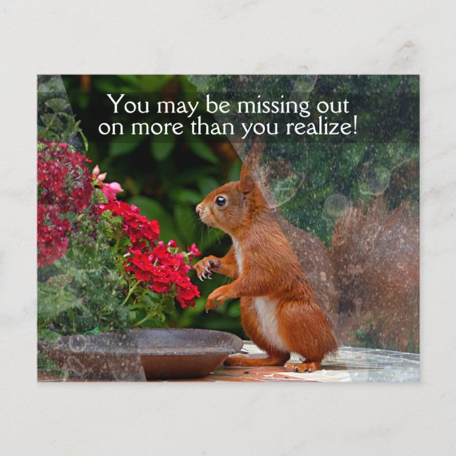 Flyer PROMO DE Personalizable DE LIMPIEZA DE VENTANAS PA (Frente)