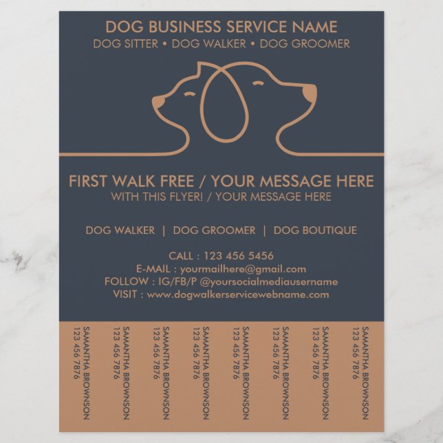 Flyer Promoción de Aseo Móvil (Frente)