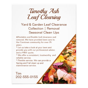 Flyer Promoción de eliminación de limpieza de limpieza d
