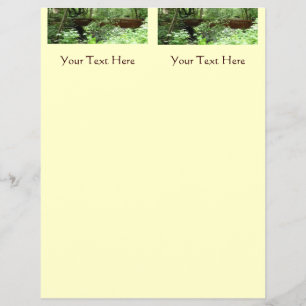 Flyer Puente Muir Woods I