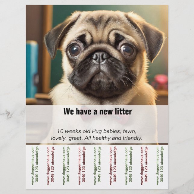 Flyer Pug papá vendiendo Ripp Off (Frente)