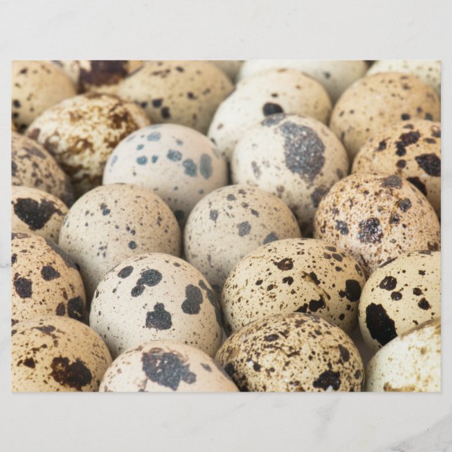 Flyer Quail Eggs (Frente)