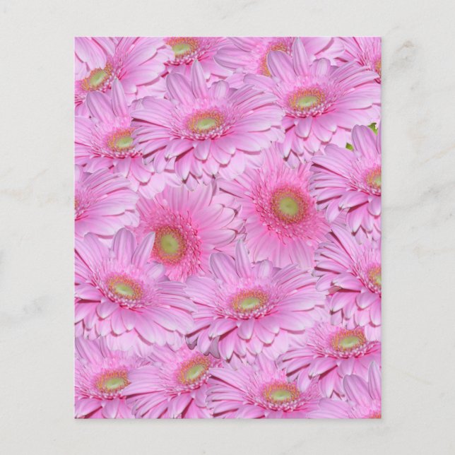 Flyer Racimos Ajustados Rosados De Flores De Gerbera, (Frente)