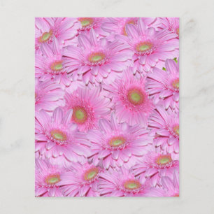 Flyer Racimos Ajustados Rosados De Flores De Gerbera,