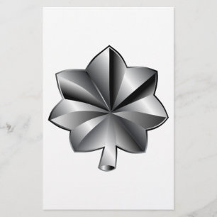 Flyer Rango Militar de Estados Unidos - Teniente Coronel