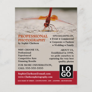 Flyer Red Dragonfly, fotografía, contratación de fotógra