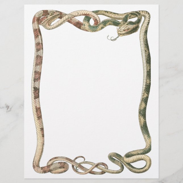 Flyer Reptiles Antiguos, Borde de Serpientes o Víboras E (Frente)