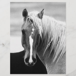 Flyer Retrato de caballo BW