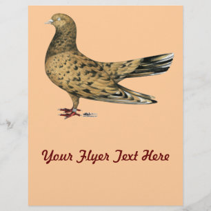 Flyer Roller oriental volador Pigeon Almond