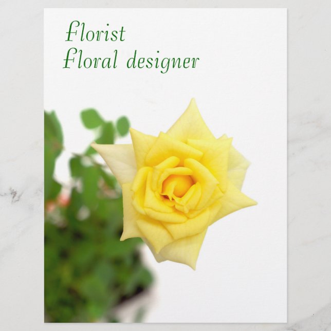 Flyer Rosa amarilla (Frente)