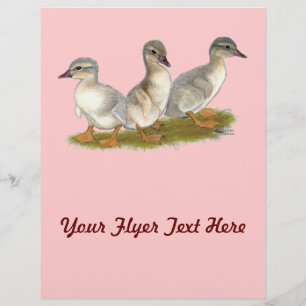 Flyer Sajonia Ducklings